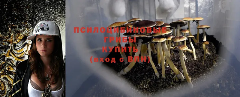 Галлюциногенные грибы Magic Shrooms  закладки  Раменское 